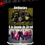 flyer amfifanfare juillet 2013